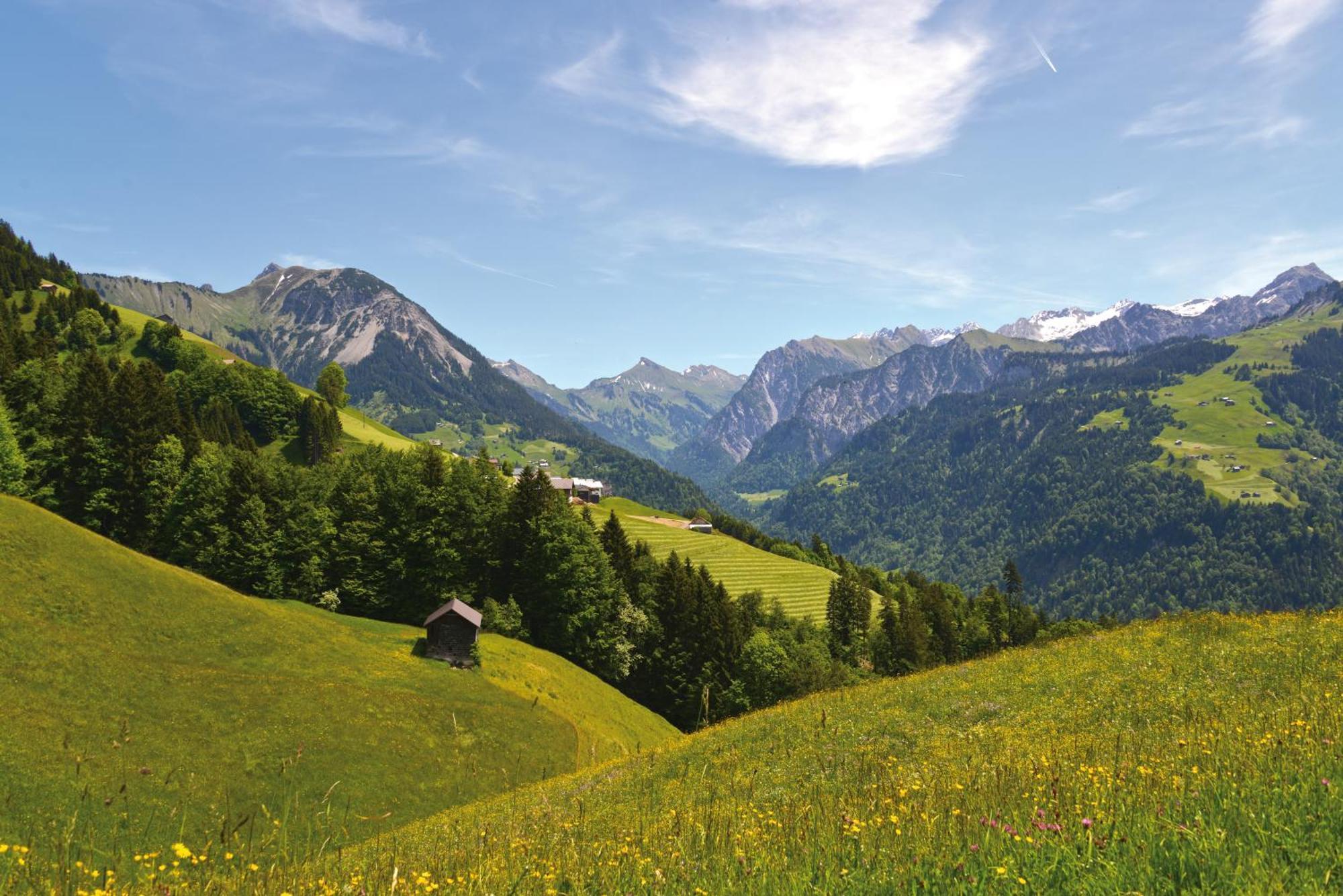 Schwendehof Homestay Fontanella
