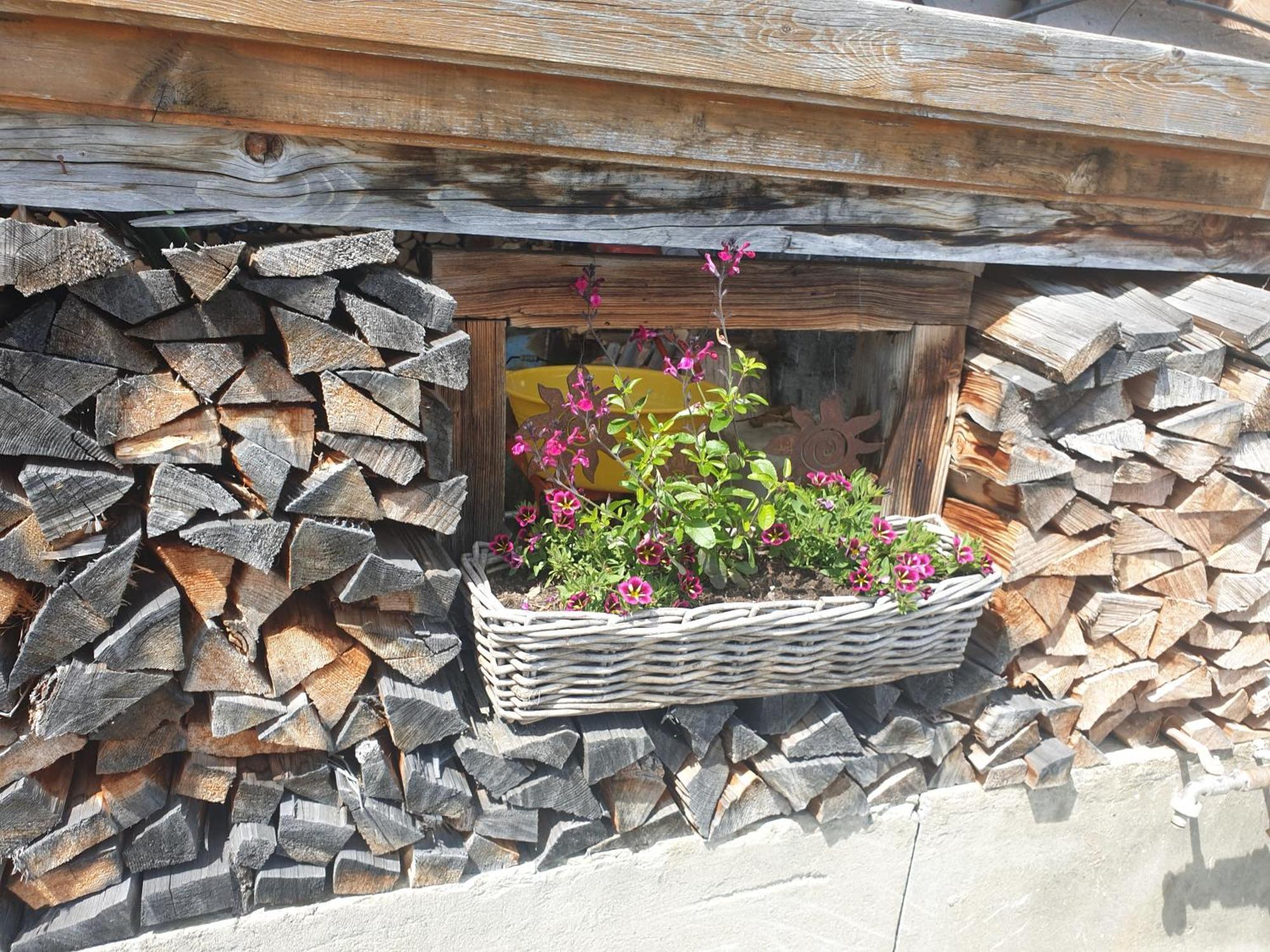 Homestay Schwendehof *